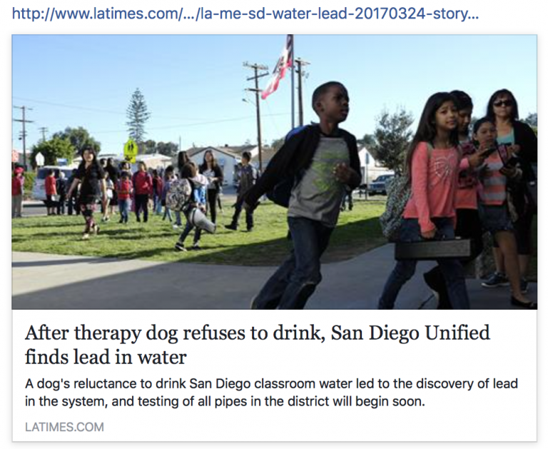 After therapy dog refuses to drink, San Diego Unified finds lead in water