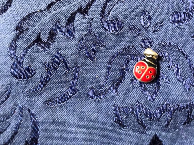 Jewelry: Lady Bug Charm, Enamel