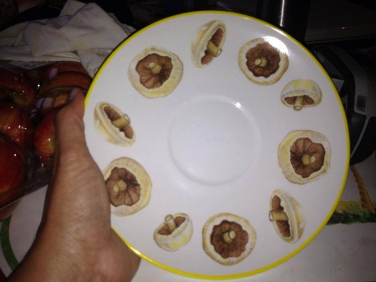 #Leaded: Cost Plus World Market Mushroom Plate, c. 2005