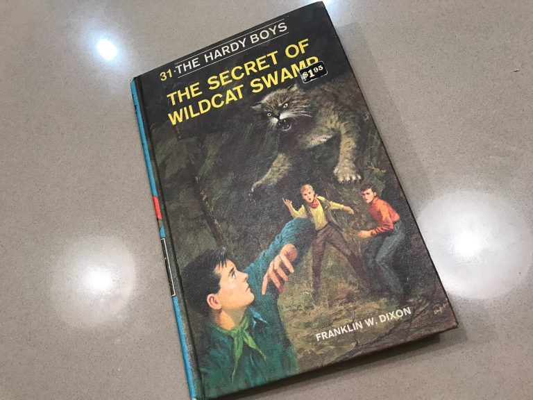 #LeadSafe: 1969 Hardy Boys Book