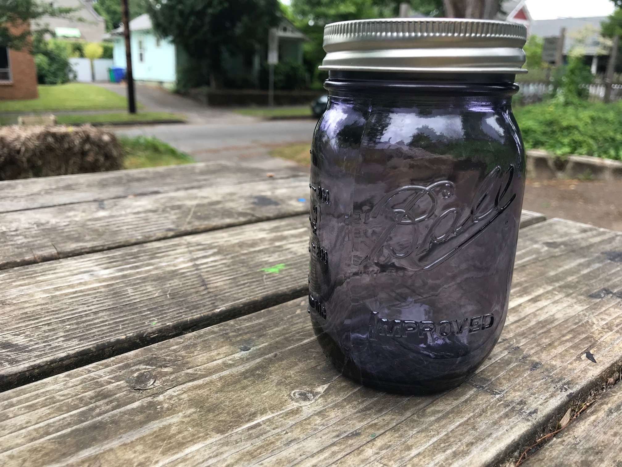 2018 Purple Ball Jars Lead Safe Mama Tamara Rubin