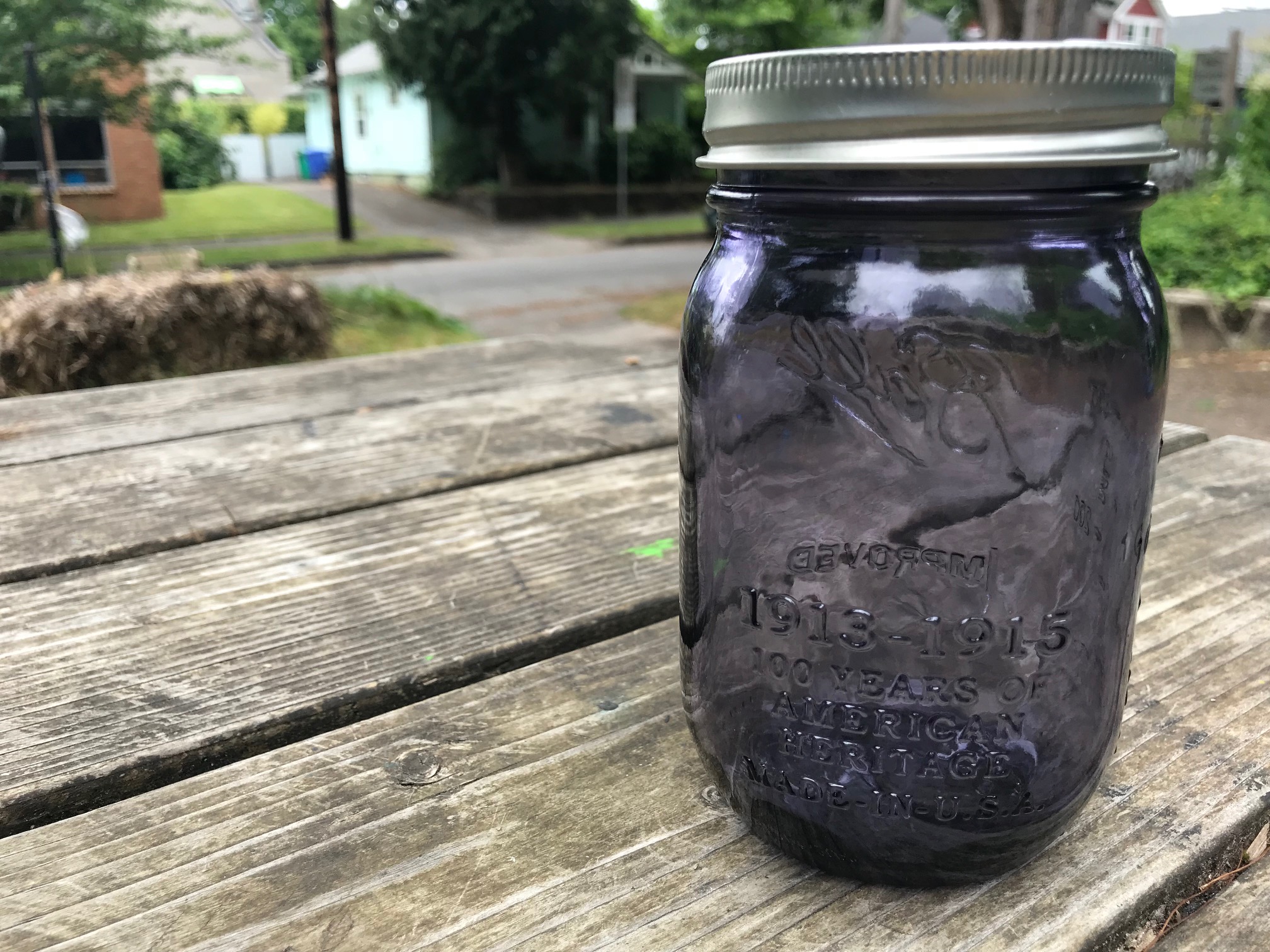 2018 Purple Ball Jars Lead Safe Mama Tamara Rubin