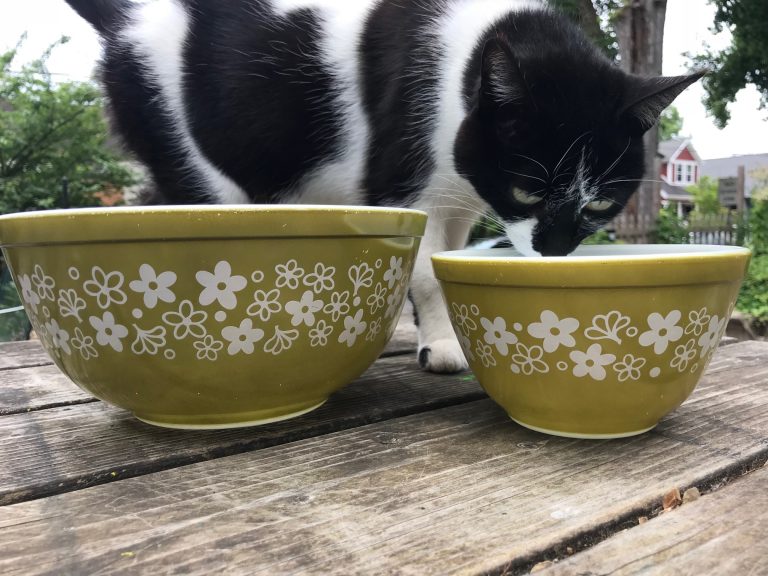 Vintage Pyrex Spring Blossom Green Crazy Daisy Mixing Bowls: 109,900 ppm Lead (90 is unsafe) + Cadmium, too!