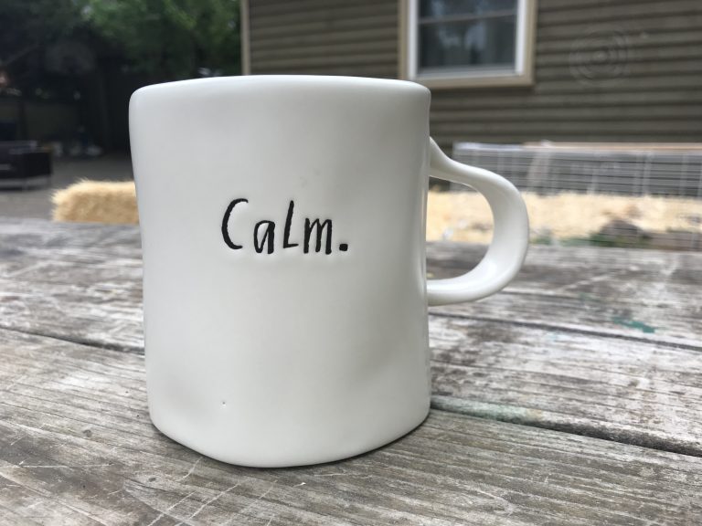 Rae Dunn ceramic “Calm” coffee mug purchased at Marshall’s: 100 +/- 20 ppm Lead (within safe range for Lead)