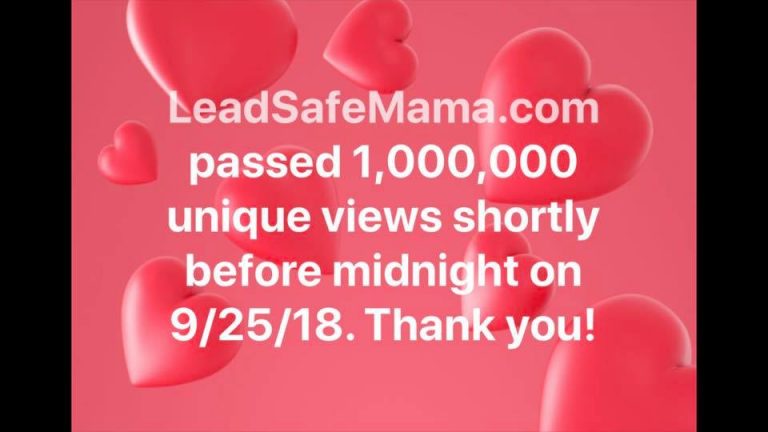 LeadSafeMama.com hit 1,000,000 unique views on September 25th!