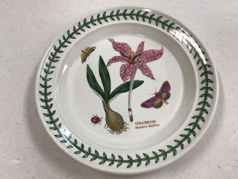 XRF Test Results For Portmeirion “The Botanic Garden” Plate, c. 1972