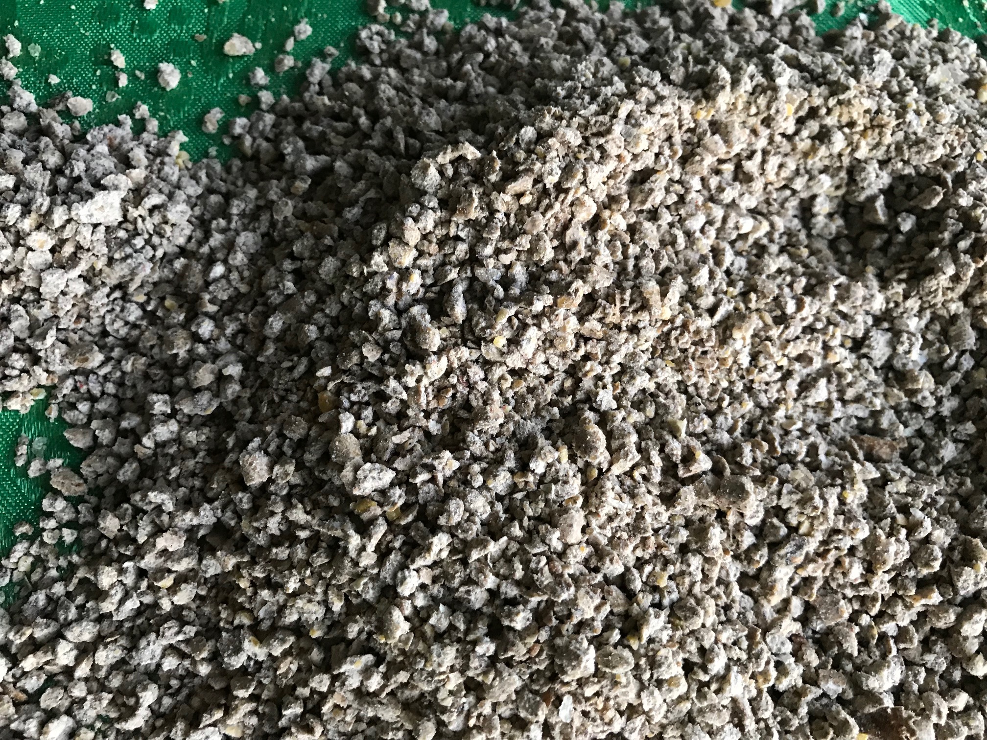 This is a close-up of the corn based World's Best Cat Litter