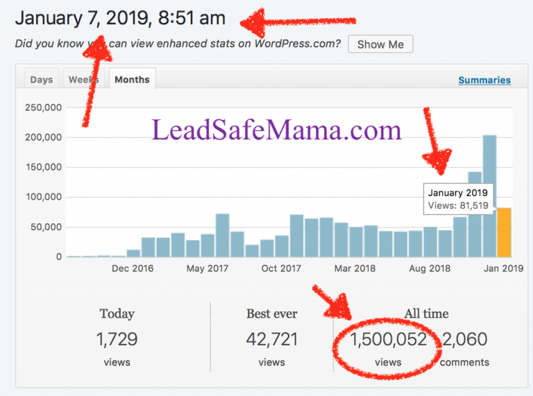 As predicted – LeadSafeMama.com hit 1,500,000 unique all time views this morning! Thank you for reading and for sharing my posts.