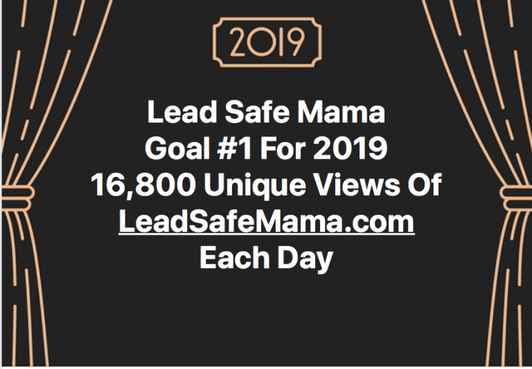 LeadSafeMama 2019 Goal #1