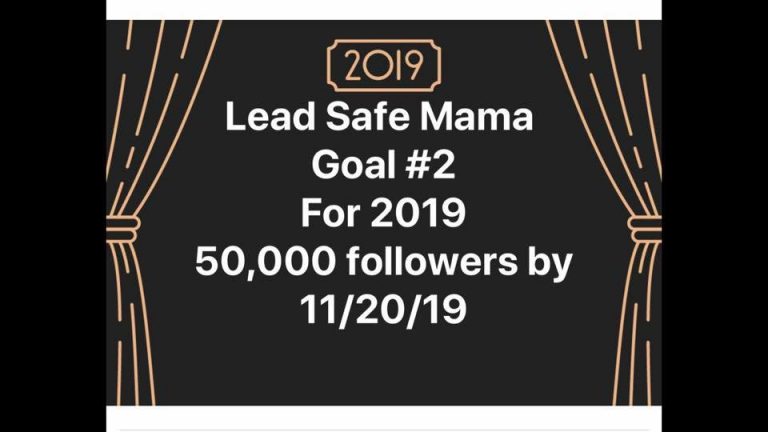 LeadSafeMama 2019 Goal #2