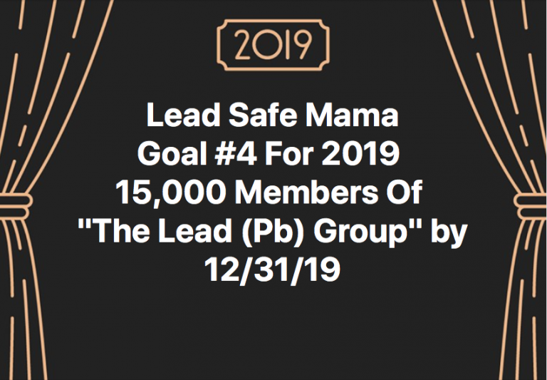 LeadSafeMama 2019 Goal #4