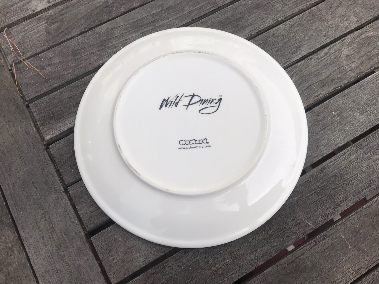 New Wild Dining "JustMustard" Brand Larry Lion Plate: 34,300 ppm Lead + Cadmium too!