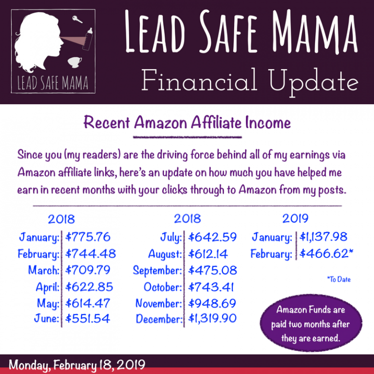 #LeadSafeMama Financial Update: Recent Amazon Affiliate Income