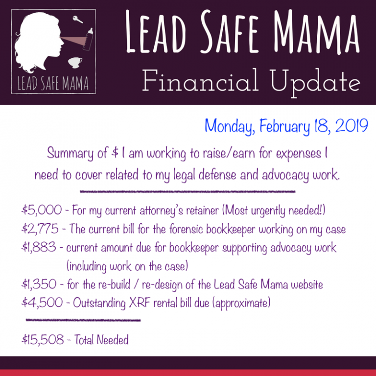 #LeadSafeMama Financial Update: February 18, 2019 – Current Legal Case Expenses (& ways you can help!)