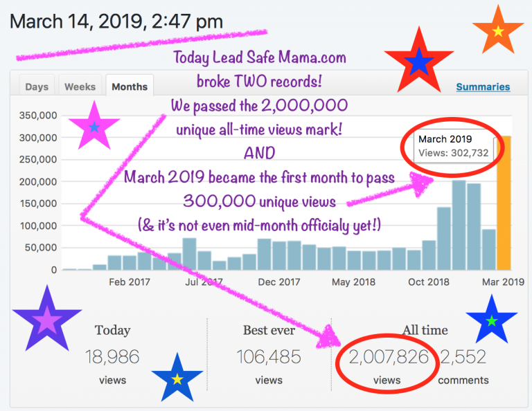 LeadSafeMama.com broke two more records today! 2,000,000 all-time views + 300,000 views in one month!