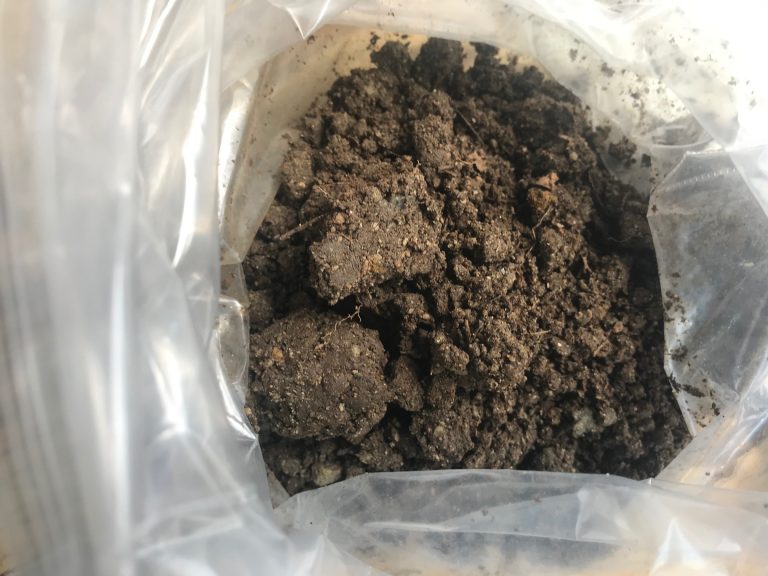 Soil from Topanga / Calabasas, CA (XRF test results, March 2019).