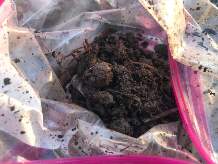 Missouri State Soil Samples, Child’s School Project: High of 341 ppm Lead