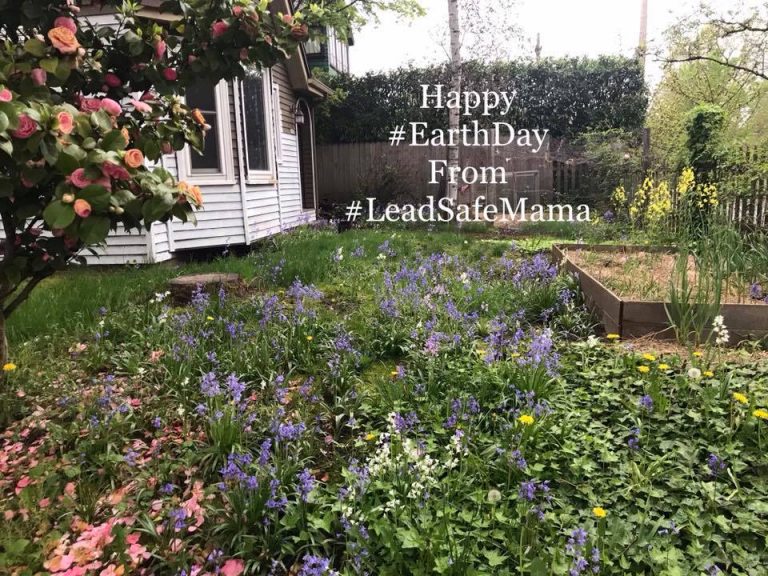 Yesterday #LeadSafeMama’s total views for 2019 passed 1,720,000. This is more than 2x the total views for all of 2018.