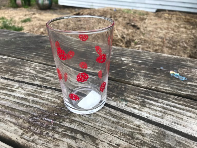 Clear Juice Glass With Red Ladybug Design, 2019 purchase from New Seasons Market, Oregon: Lead-Free, Cadmium-Free!