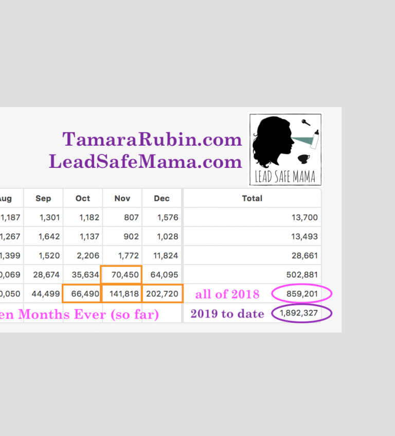 More fun with Stats: #LeadSafeMama is closing out May 2019 with nearly 1,900,000 views to date for the year.