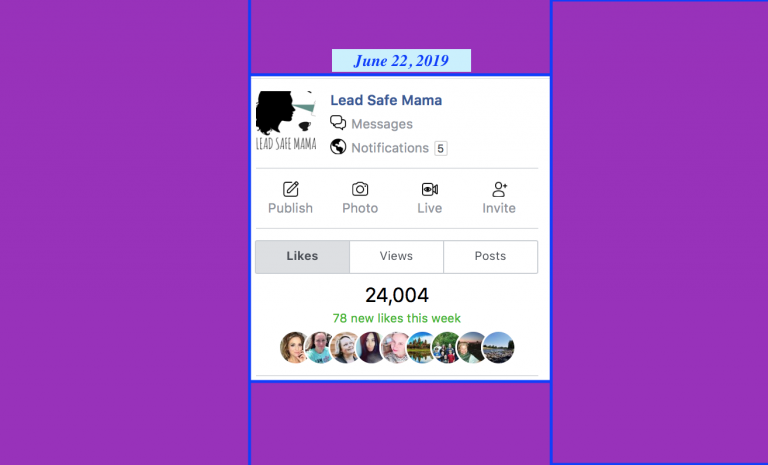 #SiteStats: As of last night – June 22, 2019 – the #LeadSafeMama Facebook page reached 24,000 “Likes”!