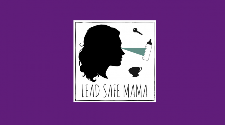 Opportunities to Invest in Lead Safe Mama’s Work: Why? What? When? How?