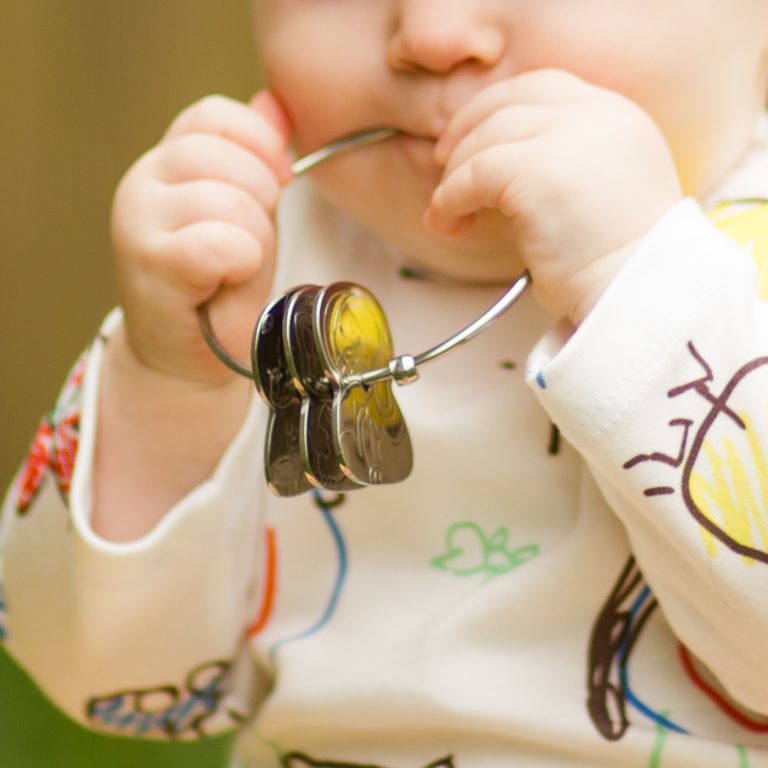 Kleynimals stainless steel toys keys – a great alternative for babies who just have to play with real metal keys!