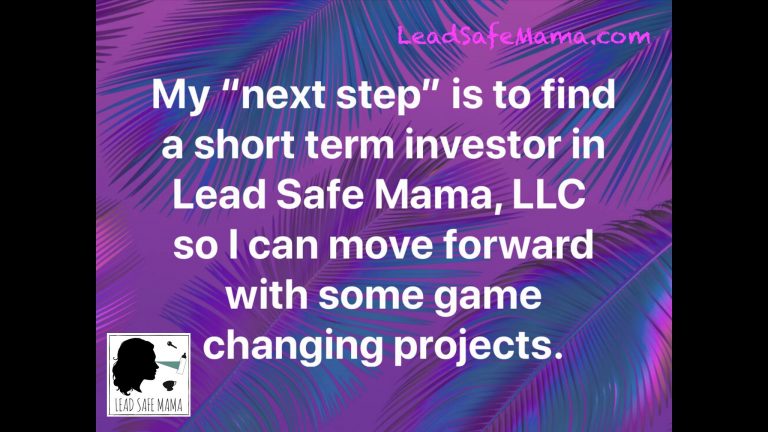 July 2019 Update: Opportunities to Invest in Lead Safe Mama’s Work