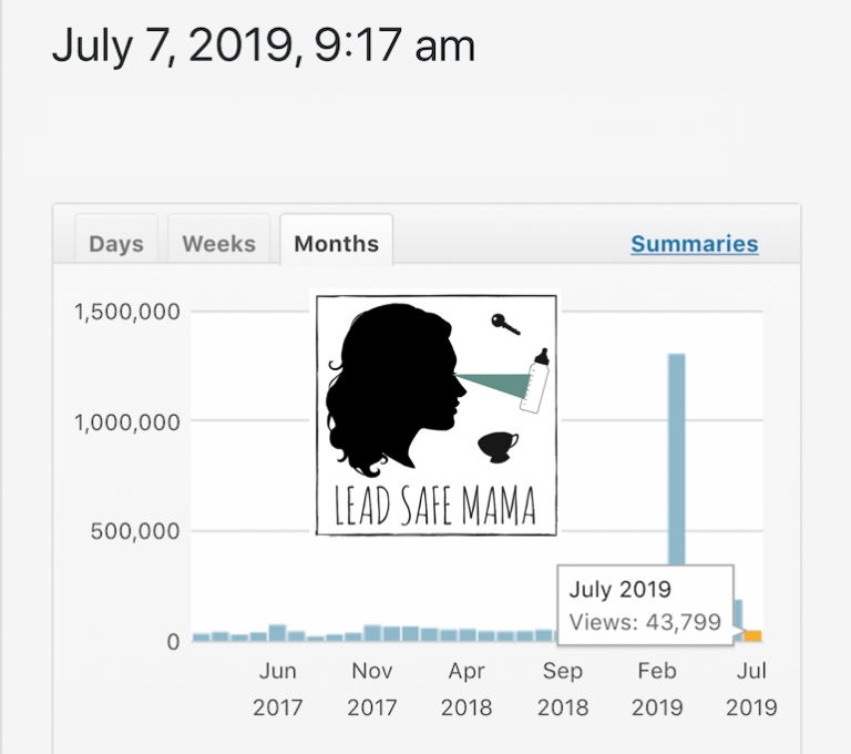 #LeadSafeMama Fun Facts: As of this morning, July 7, this website has more views so far this month than all of July, 2018!