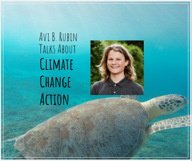 Avi’s Thoughts on Climate Change Action – August 2019