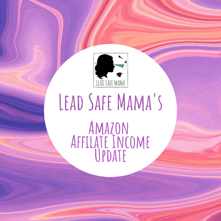 August 2019 Lead Safe Mama Amazon Affiliate Income Update