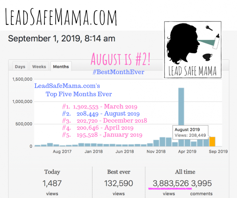 August 2019 is the second #BestMonthEver on LeadSafeMama.com with 208,449 unique views!