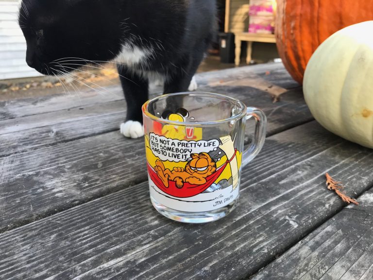 1978 Garfield “It’s not a pretty life but somebody has to live it” McDonald’s mug: 99,300 ppm Lead (causes brain damage) + 5,833 ppm Cadmium (causes cancer)