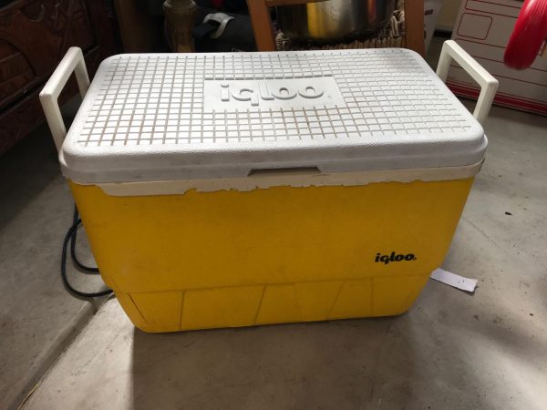 Vintage (1980s?) Igloo Cooler: 2,860 Ppm Lead INSIDE & 10,800 Outside ...