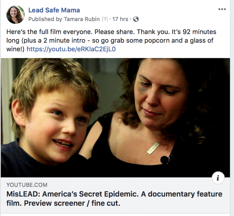 A preview screener of MisLEAD: America’s Secret Epidemic is now available streaming on YouTube through the holidays.