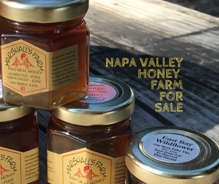 Pandemic Opportunity! Own 25% interest in an organic farm in Napa and grow your own food!