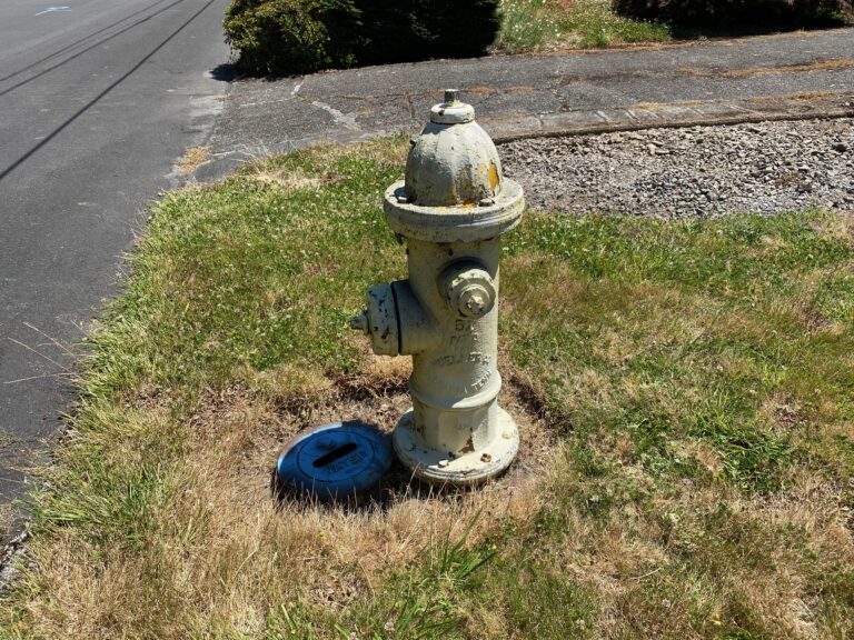 Typical fire hydrant: 281,300 ppm Lead. 90 ppm Lead (& up) is unsafe for kids. Please keep kids away from hydrants!