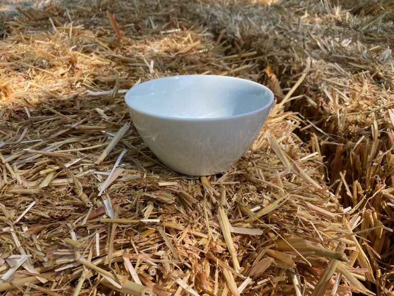 Blackhawk Marketing, LLC porcelain bowl (Made in China): Trace Lead in the food surface (within safe range.)