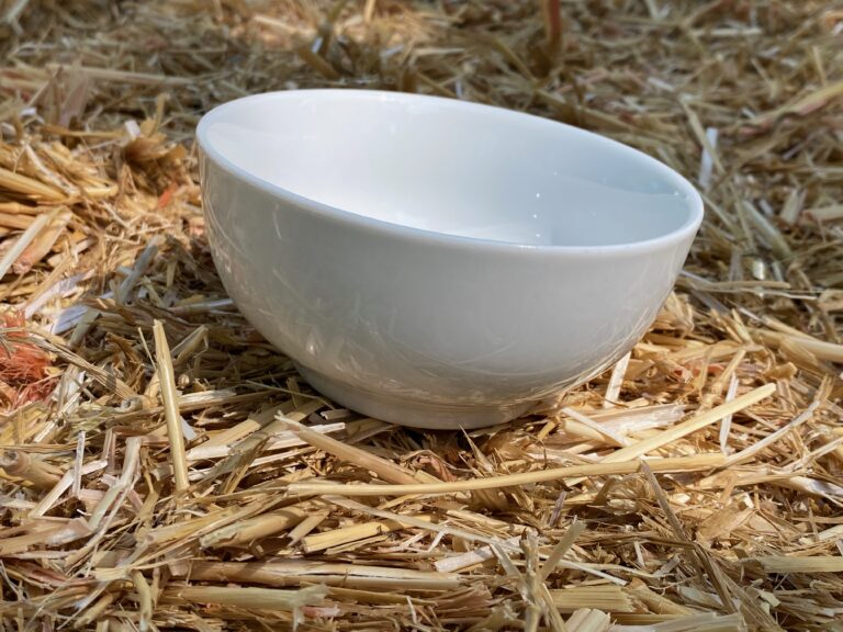 Small unmarked white porcelain bowl: 83 ppm Lead (safe by all standards).