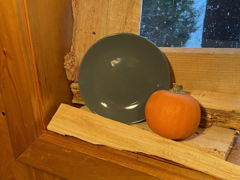 Dollar Store Royal Norfolk Greenbrier International Gray Dish: Lead-free, Arsenic-free, Mercury-free, Antimony-free.