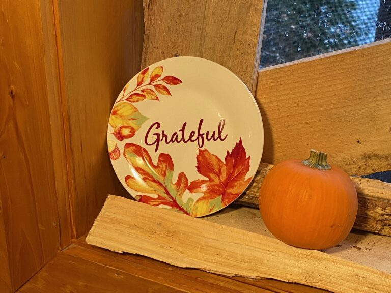 Dollar Store Royal Norfolk Greenbrier International “Grateful” Dish: 573 ppm Cadmium (a known carcinogen).