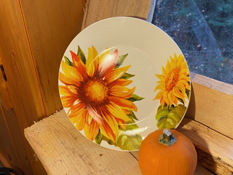 Dollar Store Royal Norfolk Greenbrier International Sunflower Dish: 738 ppm Cadmium (a known carcinogen).