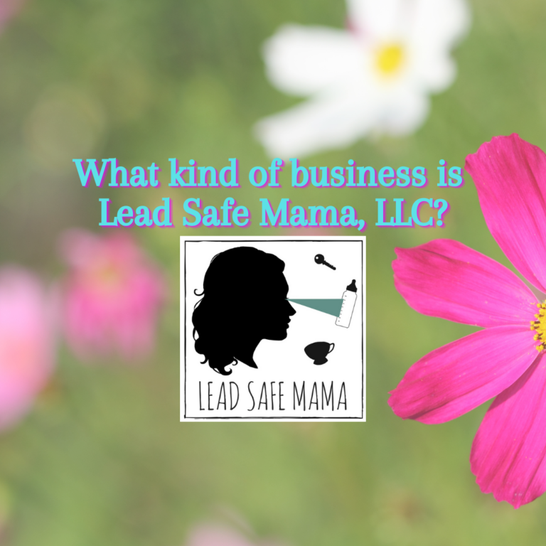 What kind of business is Lead Safe Mama, LLC?