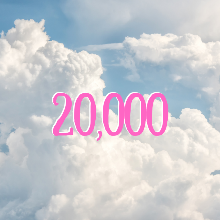 Sustainability Goal: 20,000 page views each day!