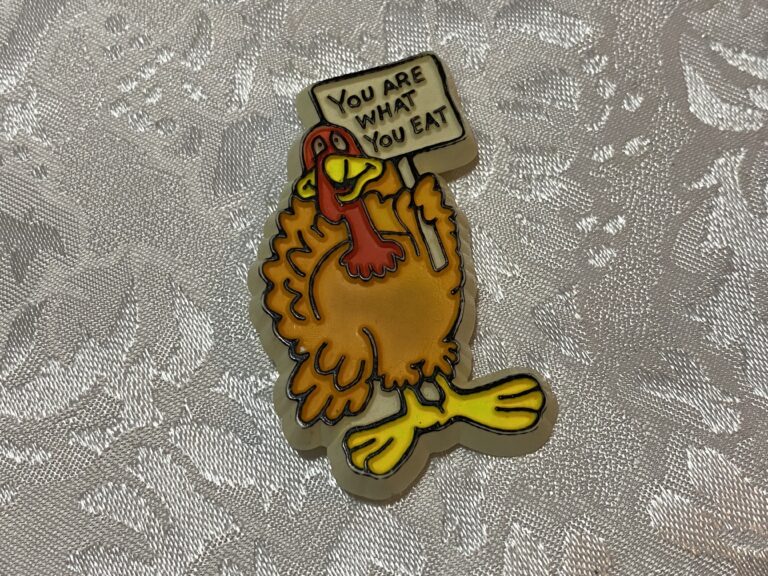 Hallmark Cards “You Are What You Eat” turkey pin (plastic): tested positive for Cadmium and Mercury in the metal pin back.