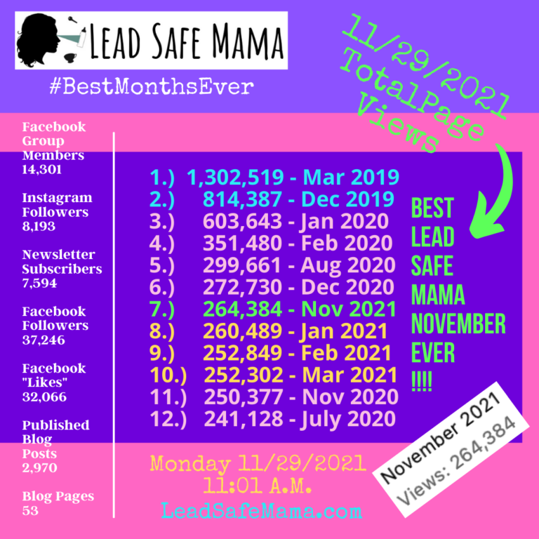 Have you entered all of the Lead Safe Mama #Giveaways yet? Thank you for supporting this work!