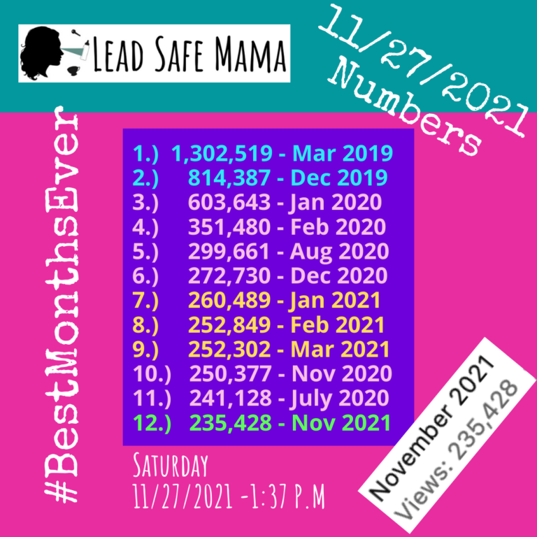 Last time this year… Lead Safe Mama Stats Update