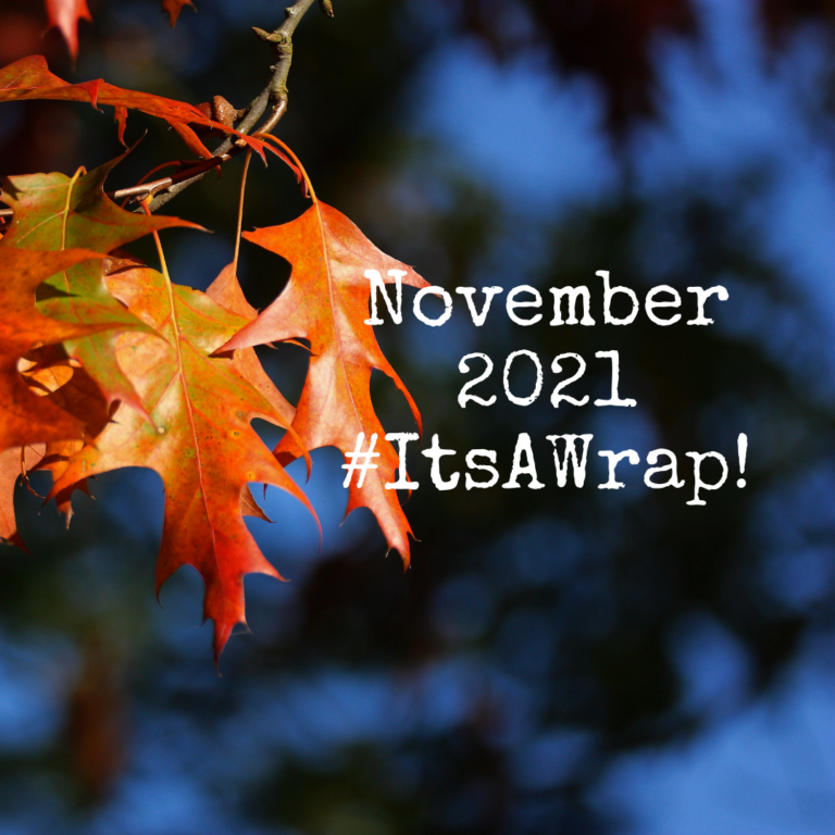 November 2021: Best month in 2021 here at LeadSafeMama.com, thank you! (Plus… the top 12 articles of November 2021!)