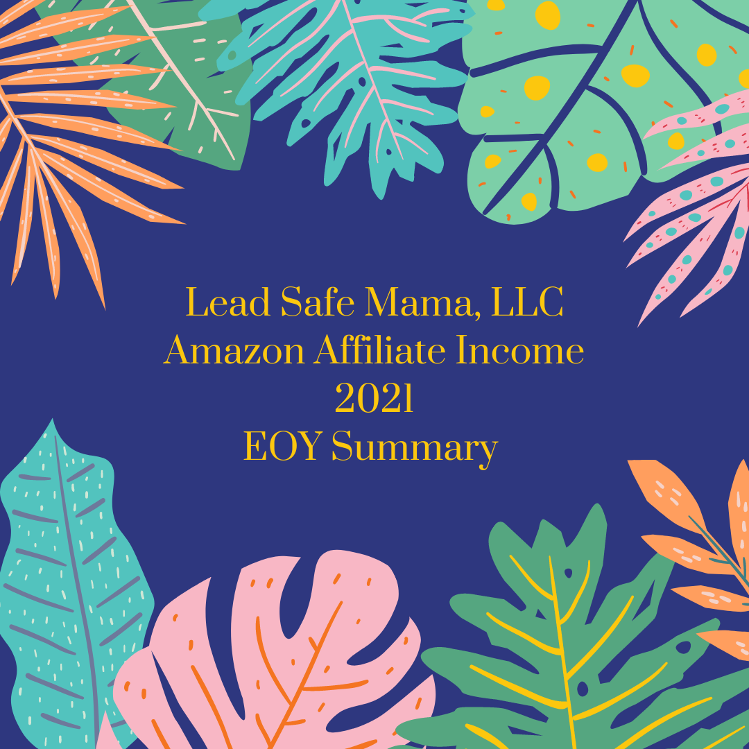 2021 EOY Summary How much Amazon Affiliate did Lead Safe Mama