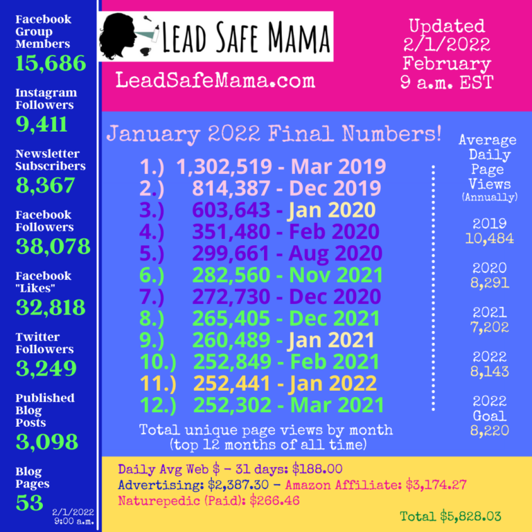 January 2022… It’s a wrap! All of the Lead Safe Mama stats for the first month of this year! [Including how much we earned this month from your clicks!]